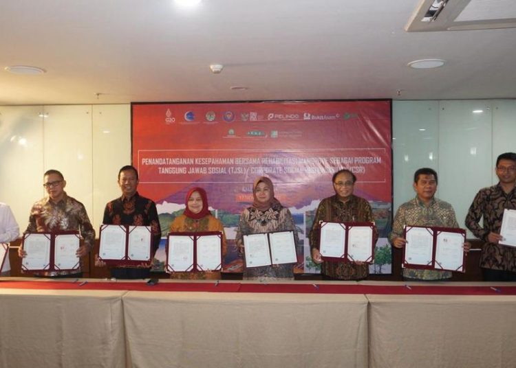 Bersama Pemerintah dan Swasta, PTBA Dukung Rehabilitasi Mangrove